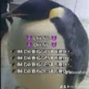 Meet your Posher, Braxton